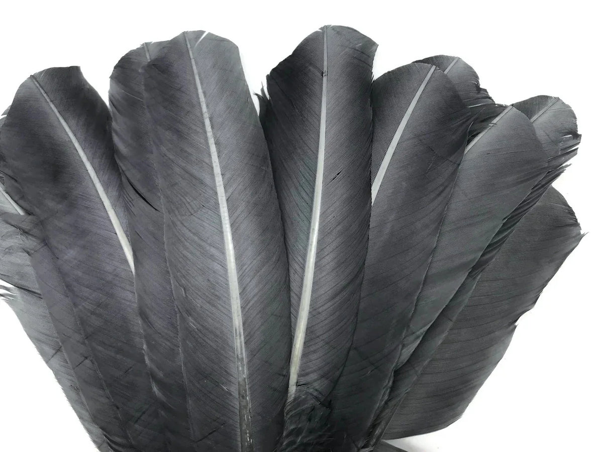 Large black feathers arranged in a fan shape for crafts and fashion decor.
