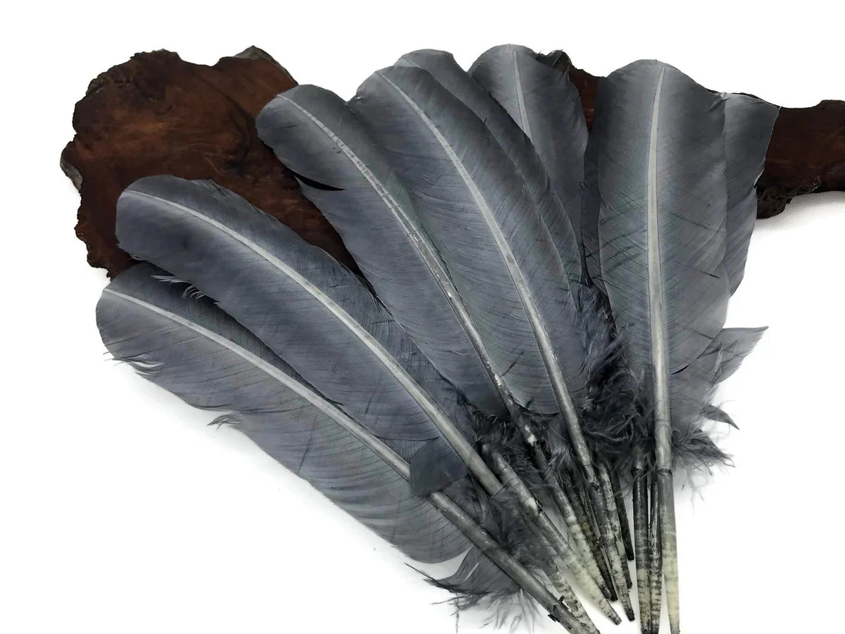 Large grey natural feathers for DIY crafts and fashion decor.