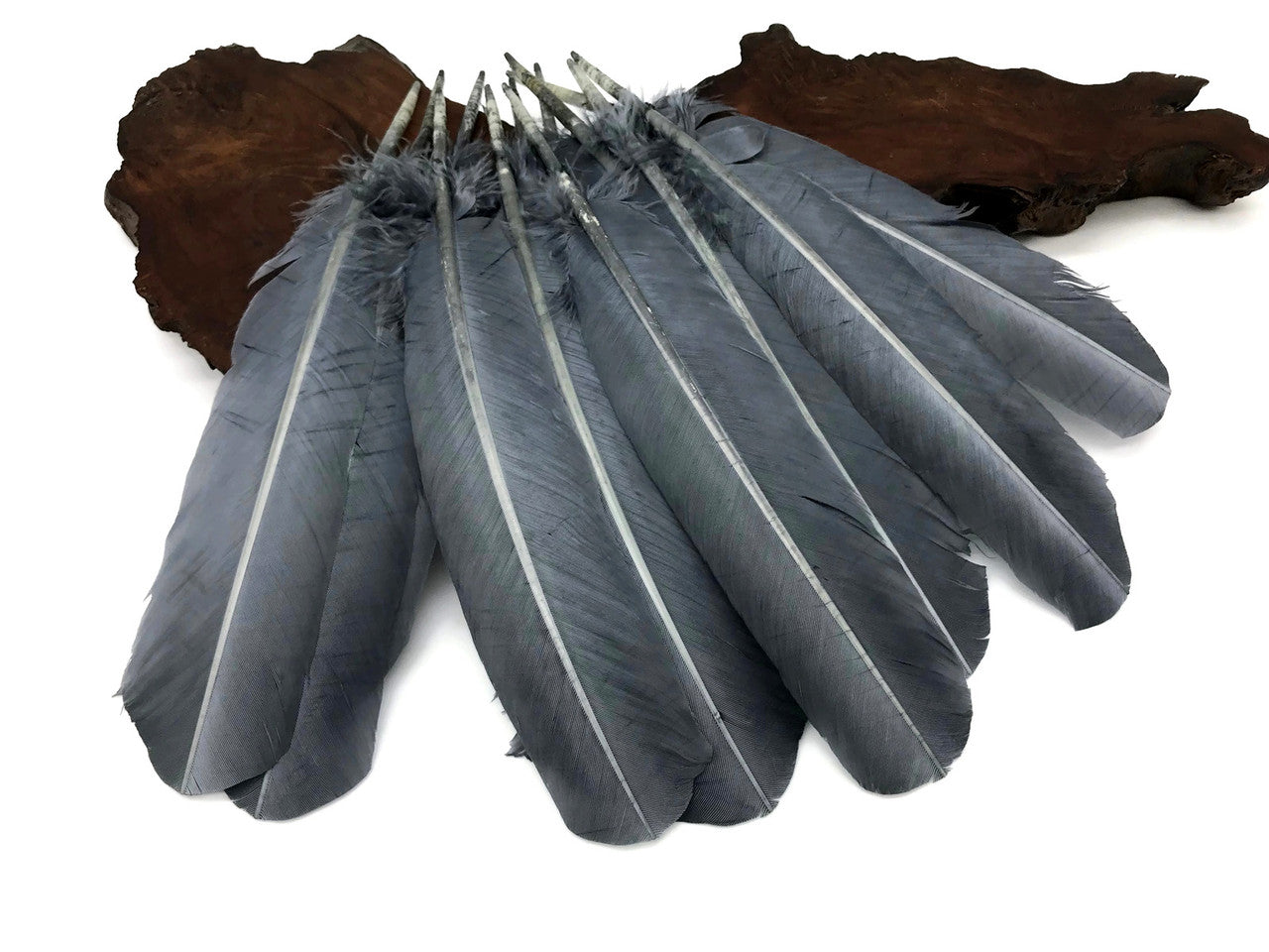 1 Lb. - Silver Gray Turkey Tom Rounds Secondary Wing Quill Wholesale Feathers (Bulk)