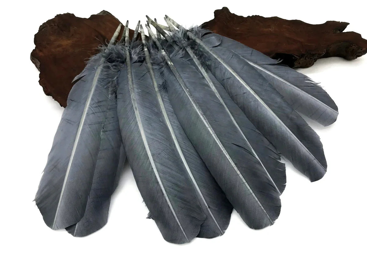 Large grey feathers with white shafts arranged on a rustic dark wood base.