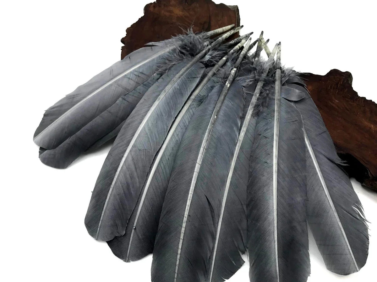 Large grey natural feathers for DIY crafts and fashion decor on a wooden base.