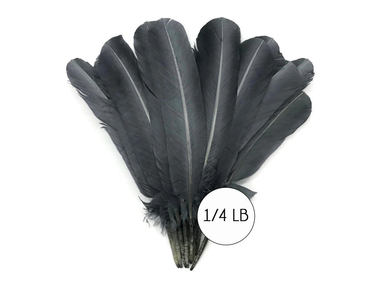 1/4 Lb - Silver Gray Turkey Tom Rounds Secondary Wing Quill Wholesale Feathers (Bulk)