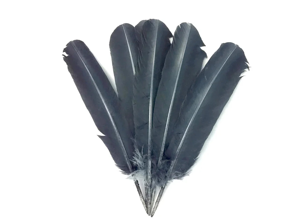 Five large dark grey feathers for DIY crafts and fashion decor on a white background.