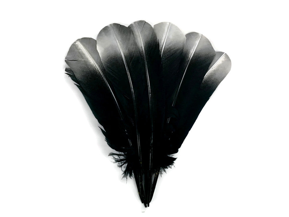 6 Pieces - Silver Tipped Metallic Spray Painted "Imitation Eagle" Turkey Tom Rounds Secondary Wing Quill Feathers