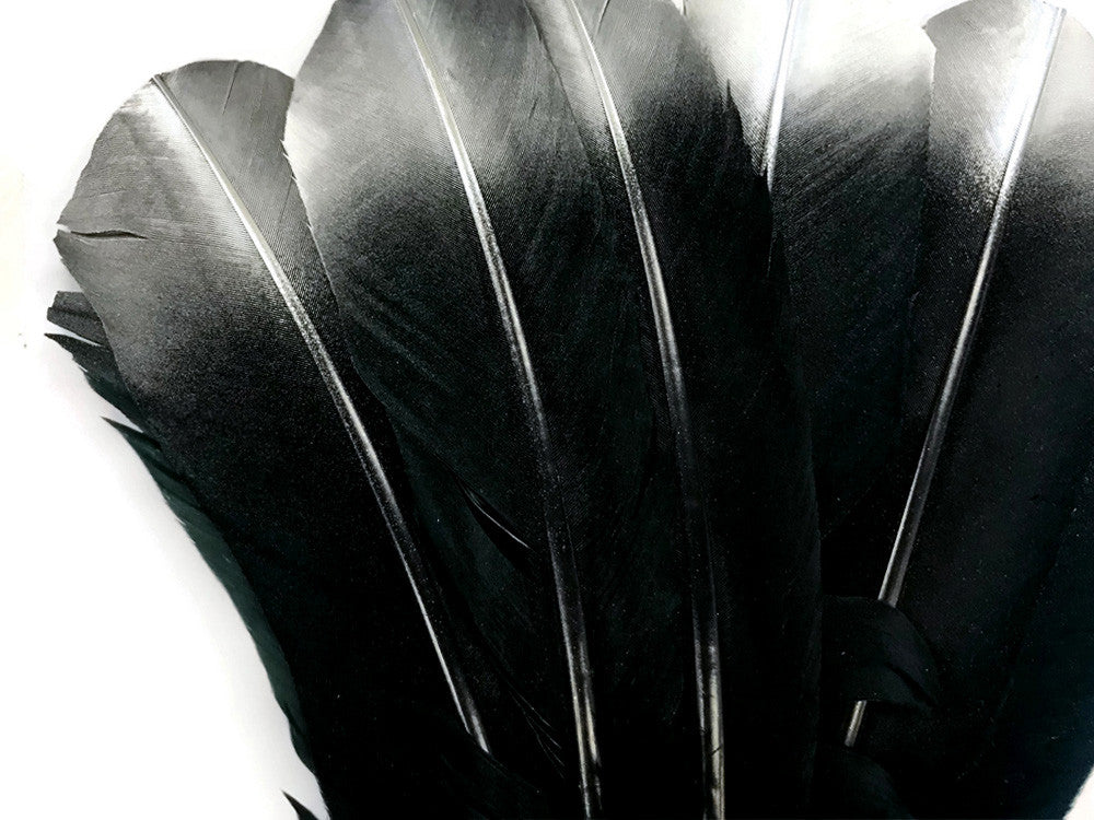 6 Pieces - Silver Tipped Metallic Spray Painted "Imitation Eagle" Turkey Tom Rounds Secondary Wing Quill Feathers