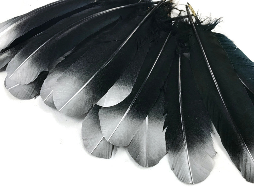 1/4 lbs. - Silver Metallic Spray Paint Over Black Tipped Tom Turkey Rounds Imitation "Eagle" Wholesale Feathers (Bulk)