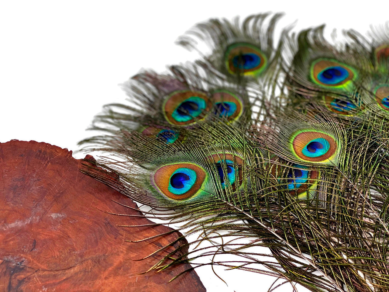 10 Pieces - 6-8" Small Eye Natural Iridescent Green Peacock Tail Feathers