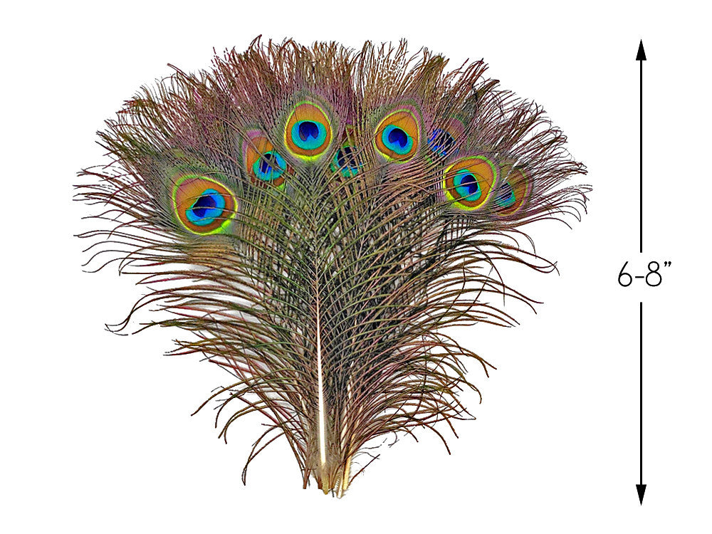 10 Pieces - 6-8" Small Eye Natural Iridescent Green Peacock Tail Feathers