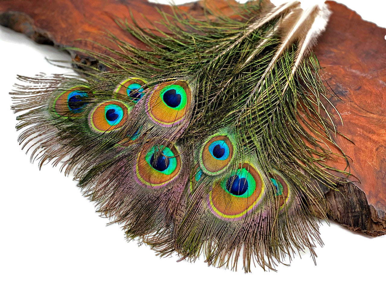 10 Pieces - 6-8" Small Eye Natural Iridescent Green Peacock Tail Feathers