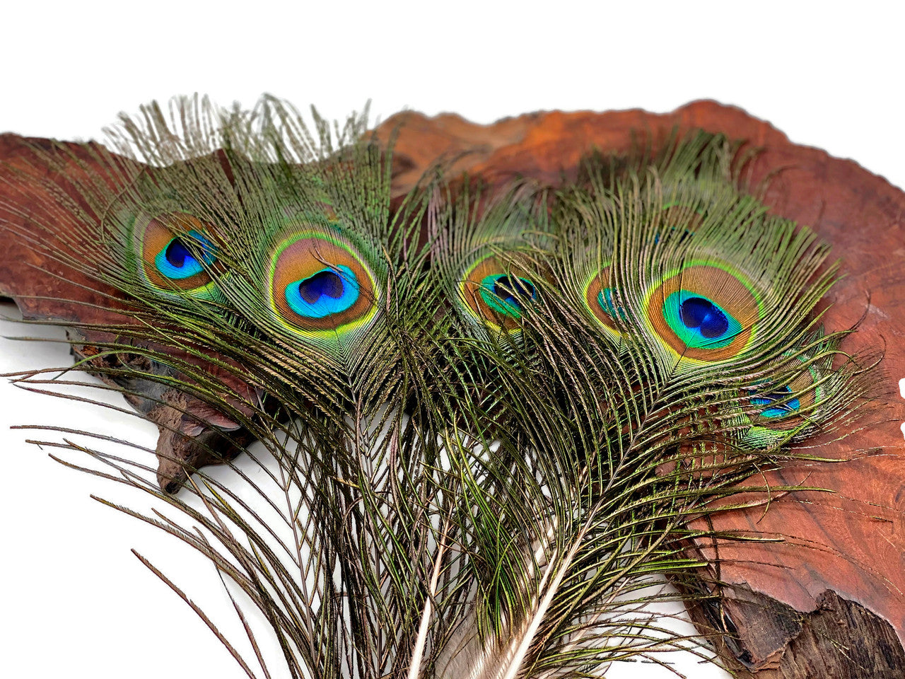 10 Pieces - 6-8" Small Eye Natural Iridescent Green Peacock Tail Feathers