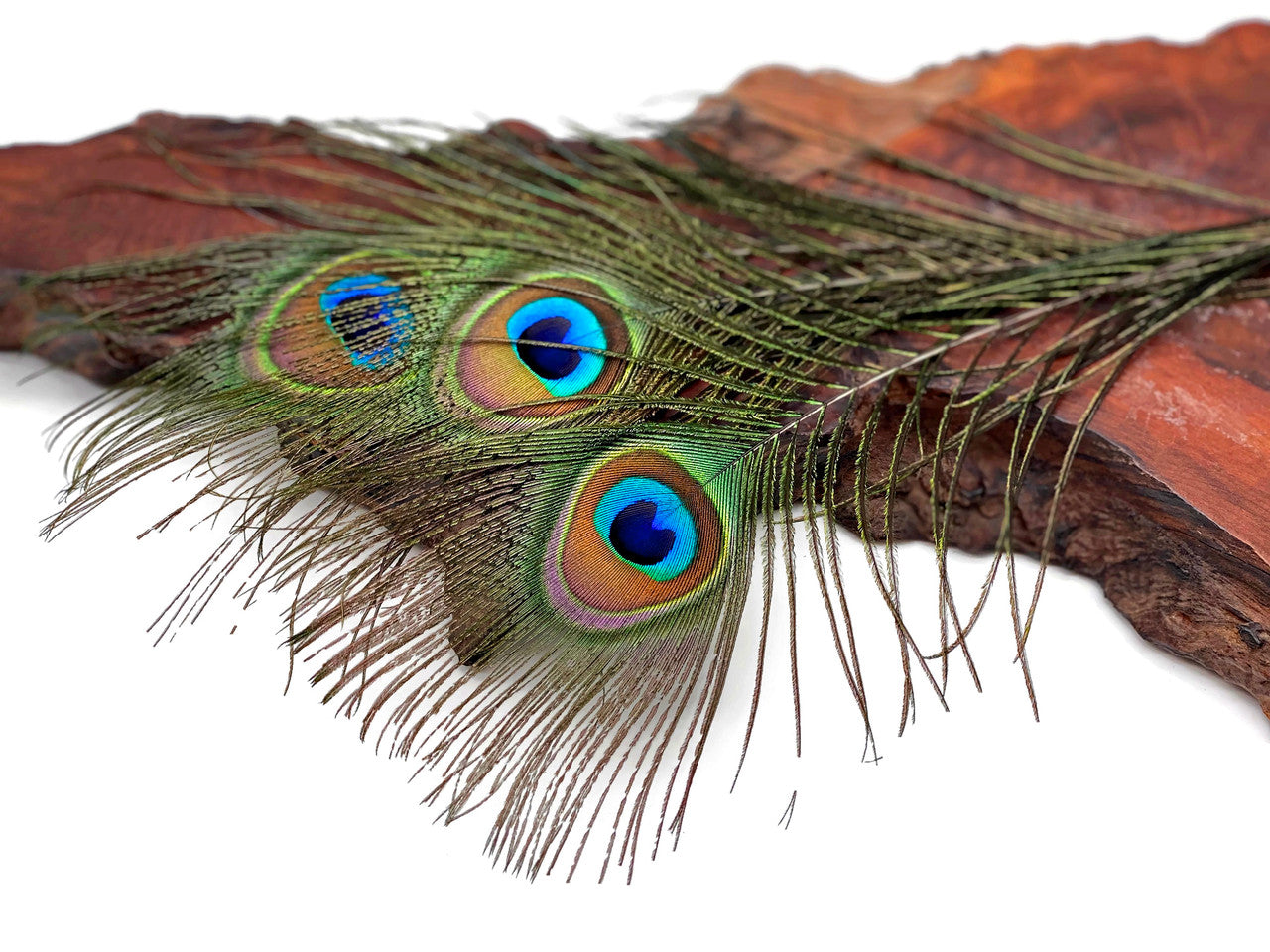 10 Pieces - 6-8" Small Eye Natural Iridescent Green Peacock Tail Feathers