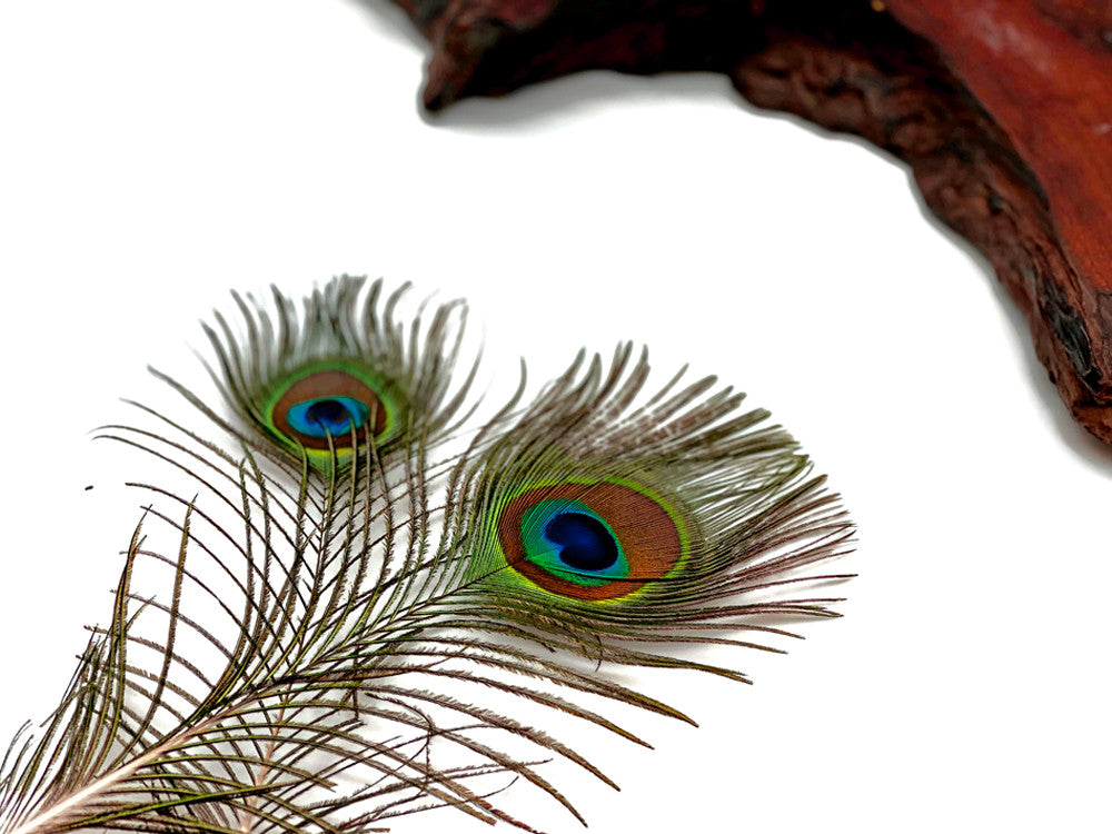 10 Pieces - 6-8" Small Eye Natural Iridescent Green Peacock Tail Feathers