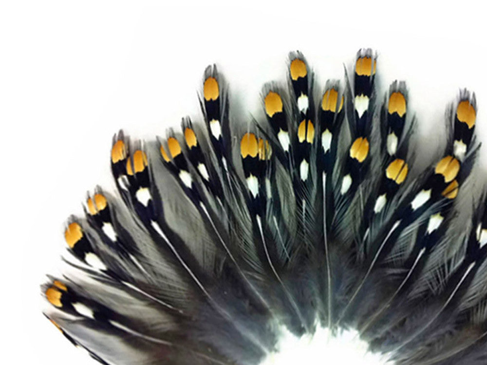 10 Pieces - Small Natural Gold Jungle Cock Eye Loose Feather