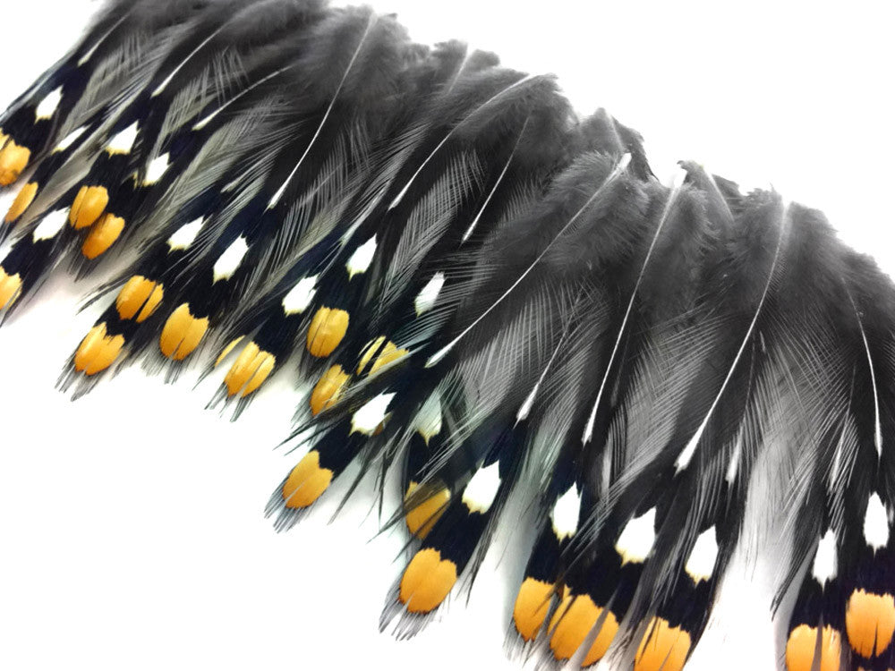 10 Pieces - Small Natural Gold Jungle Cock Eye Loose Feather