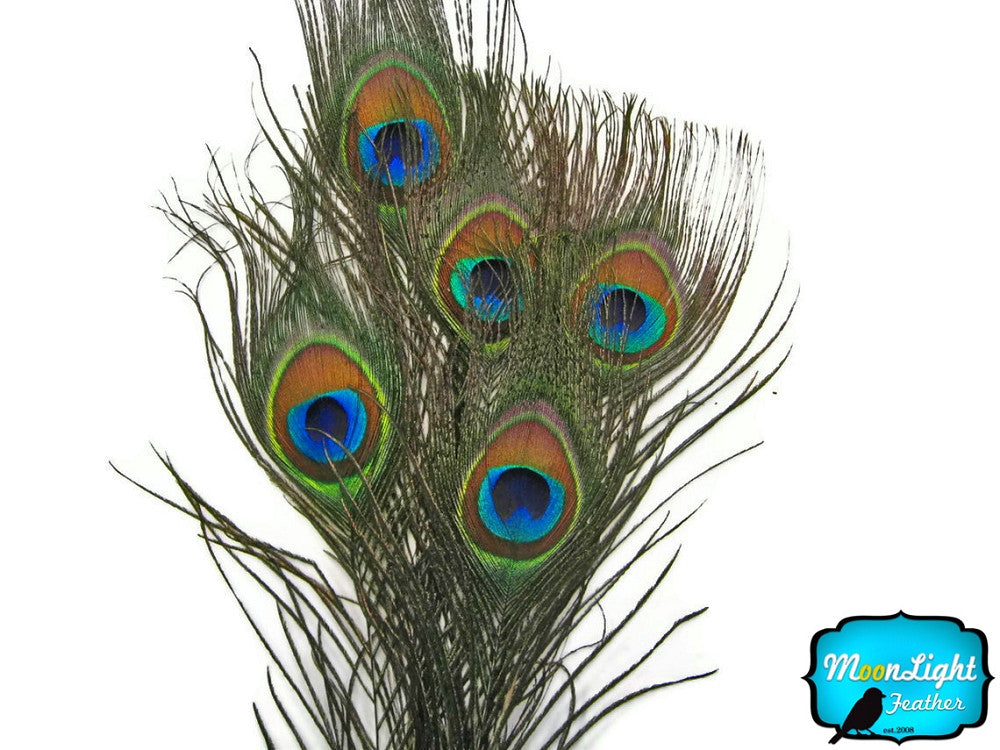 10 Pieces - Small Natural Peacock Tail Eye Feathers - AMAZON