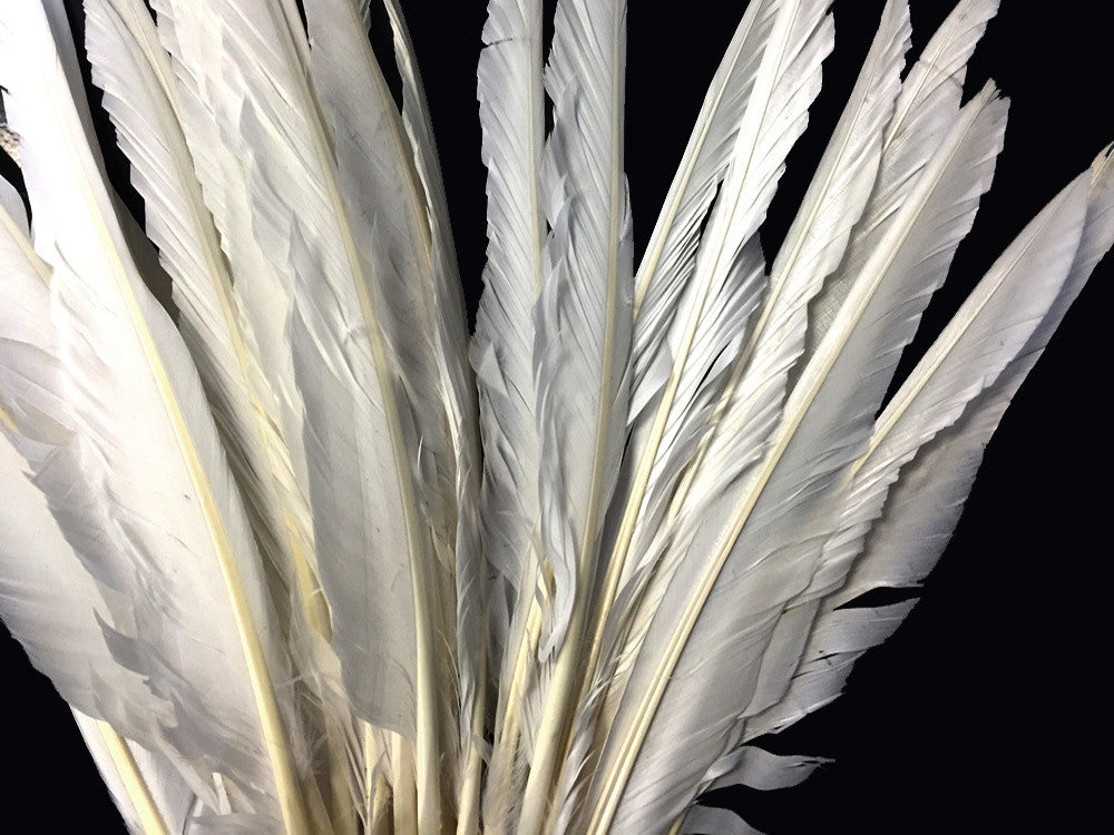 10 Pieces - Natural White Goose Pointers Long Primaries Wing Feathers