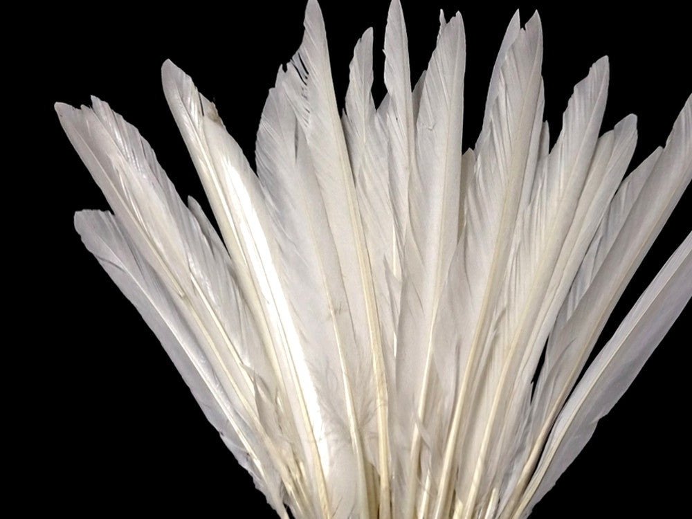 1/4 Lb. - Natural White Goose Pointers Long Primaries Wing Wholesale Feathers (Bulk)