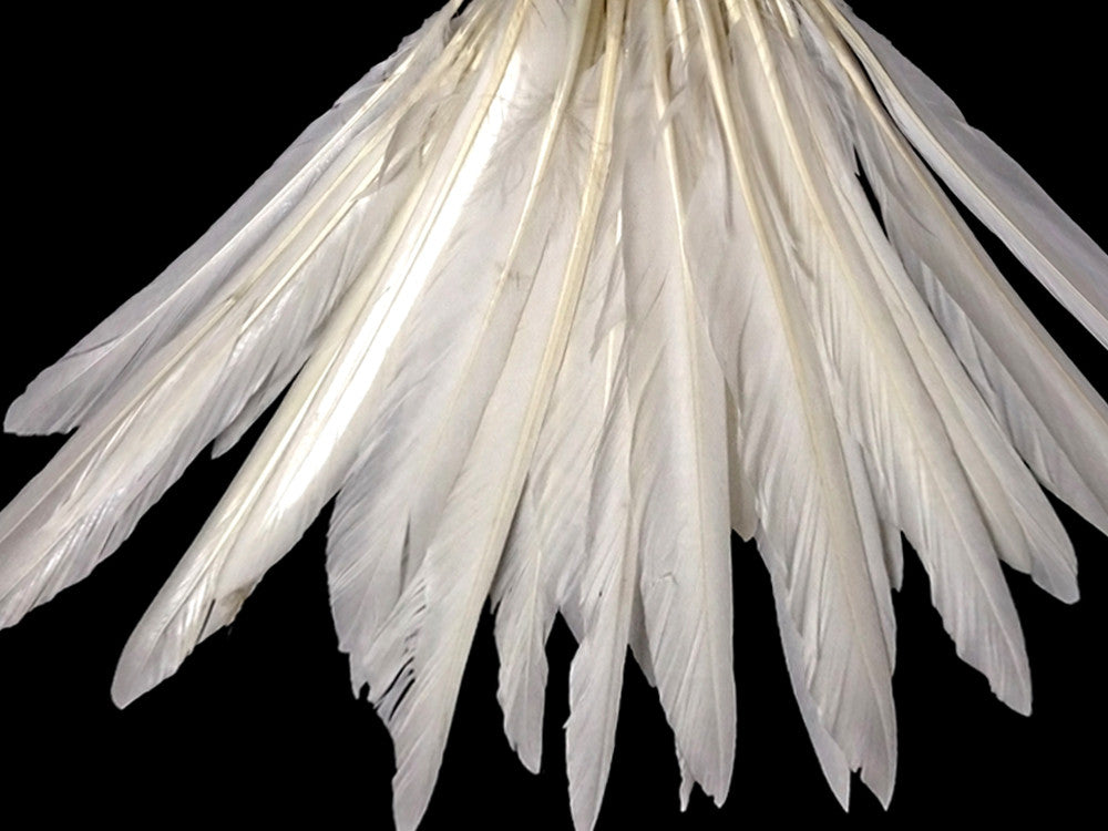 1/4 Lb. - Natural White Goose Pointers Long Primaries Wing Wholesale Feathers (Bulk)