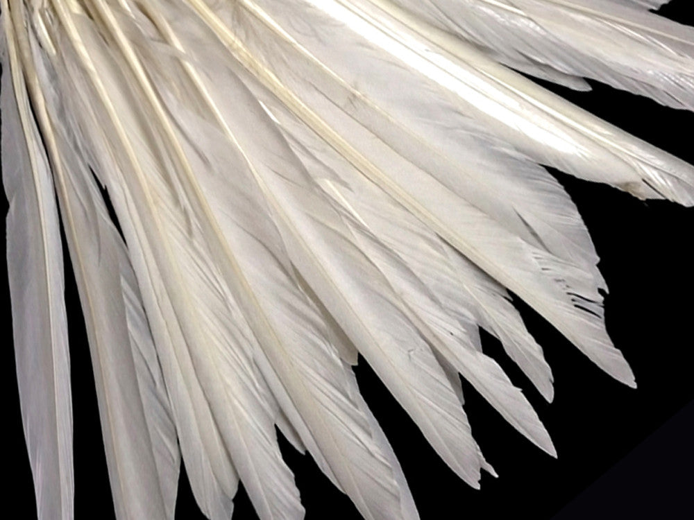 10 Pieces - Natural White Goose Pointers Long Primaries Wing Feathers