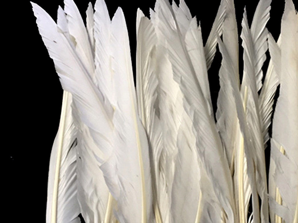 10 Pieces - Natural White Goose Pointers Long Primaries Wing Feathers