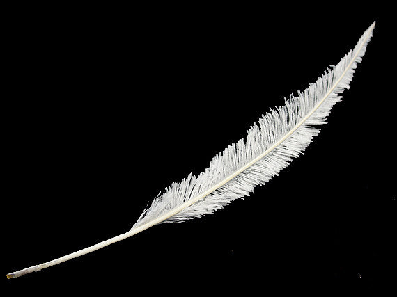 5 Pieces - White Long Ostrich Nandu Trimmed Feathers