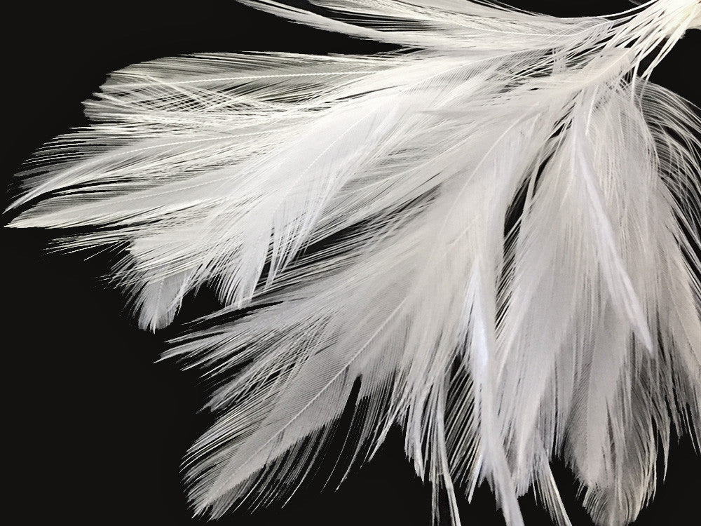 1 Dozen - White Stripped Rooster Neck Hackle Eyelash Feather