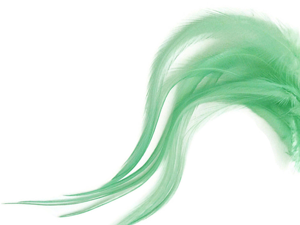 1 Dozen - Medium Solid Aqua Mint Rooster Saddle Whiting Hair Extension Feathers