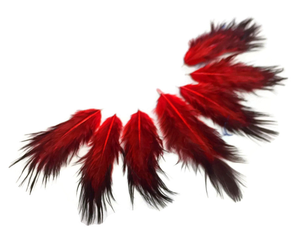 1 Dozen - Solid Red & Black Mini Rooster Chickabou Fluff Whiting Hair Feathers