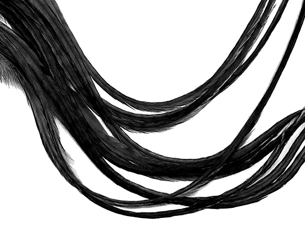 6 Pieces - XL Solid Black Thick Extra Long Whiting Farm Rooster Saddle Hair Extension Feathers