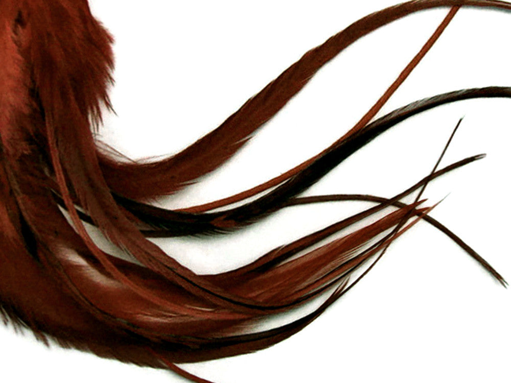 1 Dozen - Medium Solid Brown Rooster Saddle Whiting Hair Extension Feathers