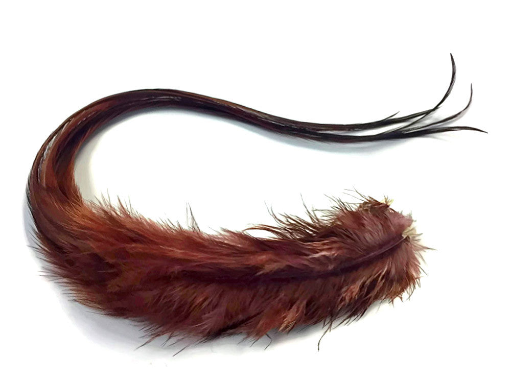 6 Pieces - XL Solid Brown Thick Long Grizzly Whiting Farm Rooster Saddle Hair Extension Feathers