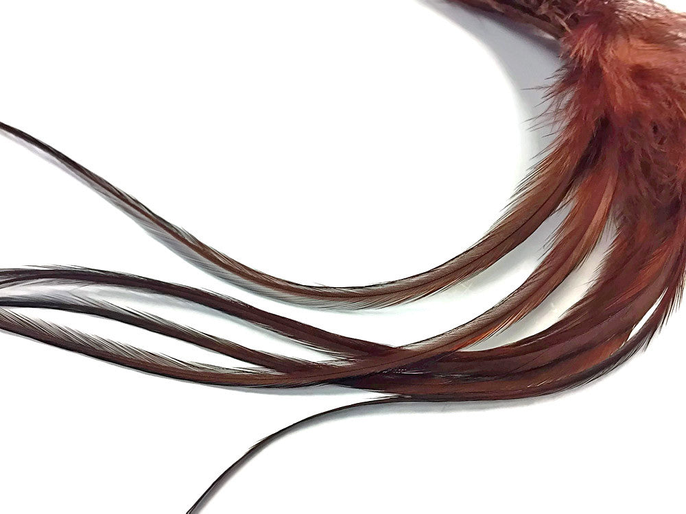 6 Pieces - XL Solid Brown Thick Long Grizzly Whiting Farm Rooster Saddle Hair Extension Feathers