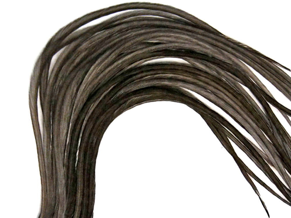 10 Pieces – Solid Dark Dun Thin Long Whiting Farm Rooster Saddle Hair Extension Feathers