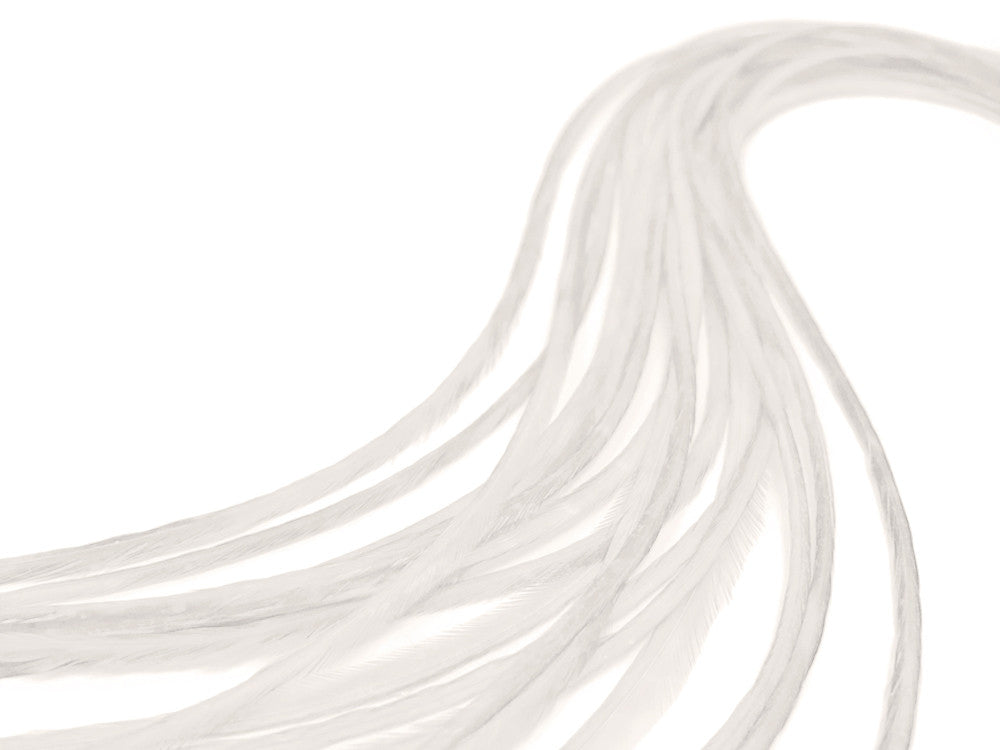 10 Pieces - Solid Ivory Thin Long Whiting Farm Rooster Hair Extension Feathers