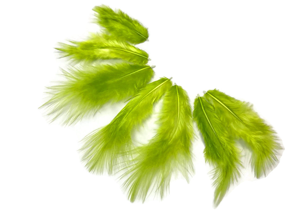 1 Dozen - Solid Lime Green Mini Rooster Chickabou Fluff Whiting Hair Feathers