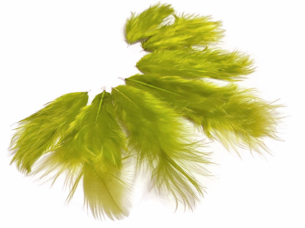 1 Dozen - Solid Olive Mini Rooster Chickabou Fluff Whiting Hair Feathers