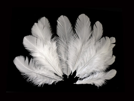 1/4 Lb. - Natural White Hen Saddle Wholesale Plumage Feathers (Bulk)