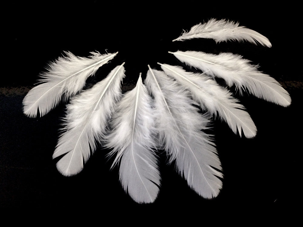 1/4 Lb. - Natural White Hen Saddle Wholesale Plumage Feathers (Bulk)