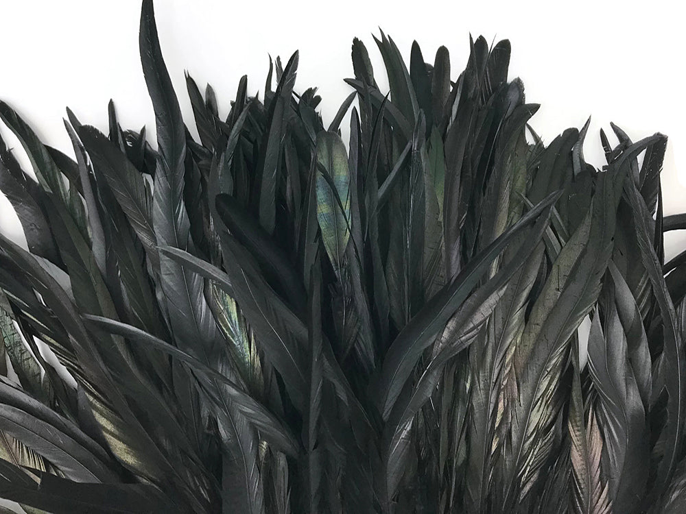 2.5  Inch Strip -  8-10" Black Strung Natural Bleach & Dyed Coque Tails Feathers