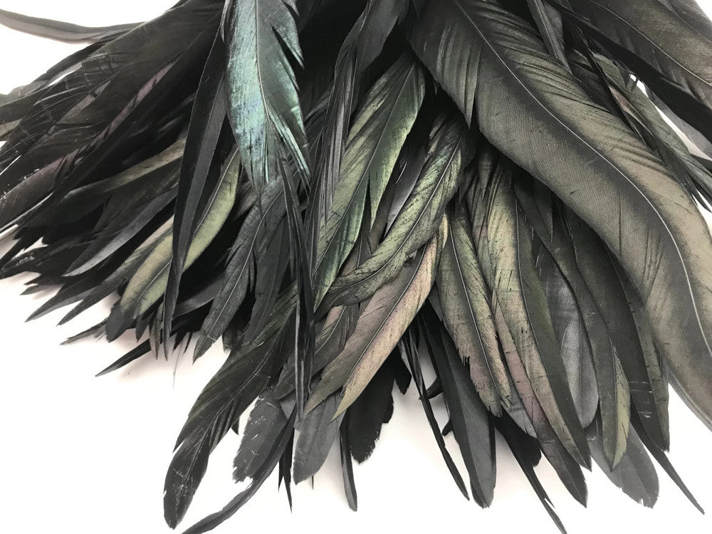 2.5 Inch Strip - 14-16" Black Strung Natural Bleach & Dyed Coque Tails Feathers