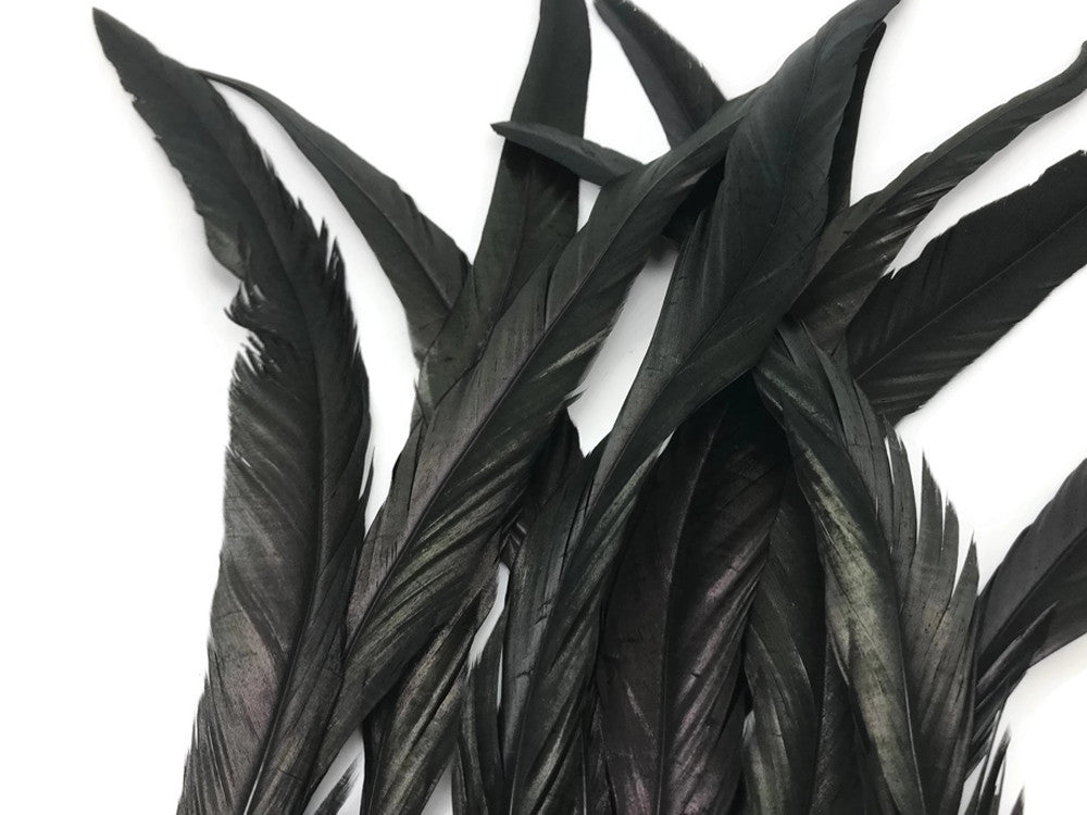 1/2 Yard - 14-16" Black Strung Natural Bleached & Dyed Rooster Coque Tail Wholesale Feathers (Bulk)