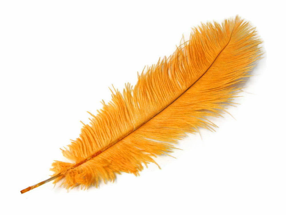 10 Pieces - 14-17" Golden Yellow Ostrich Dyed Drab Body Feathers