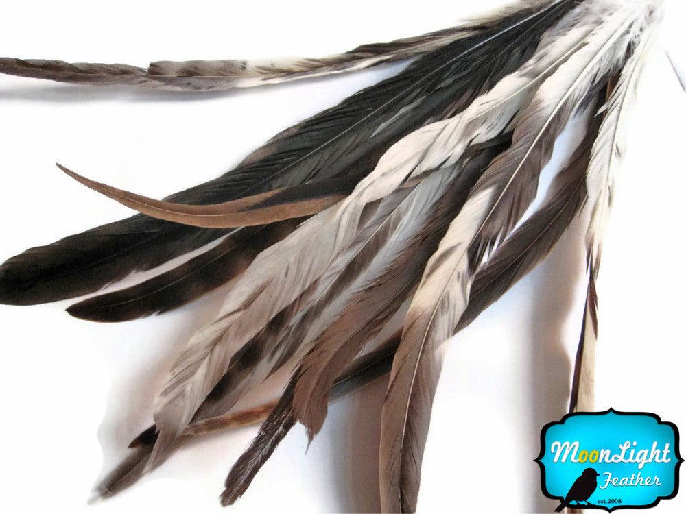 2.5  Inch Strip -  Natural Brown Chinchilla Mix Coque Tail Strung Feathers, 14-16"