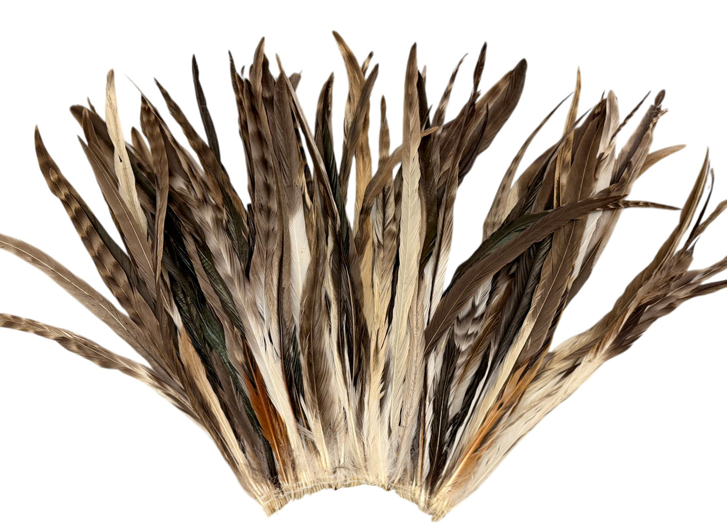2.5  Inch Strip -  14-16" Natural Brown Chinchilla Mix Coque Tail Strung Feathers