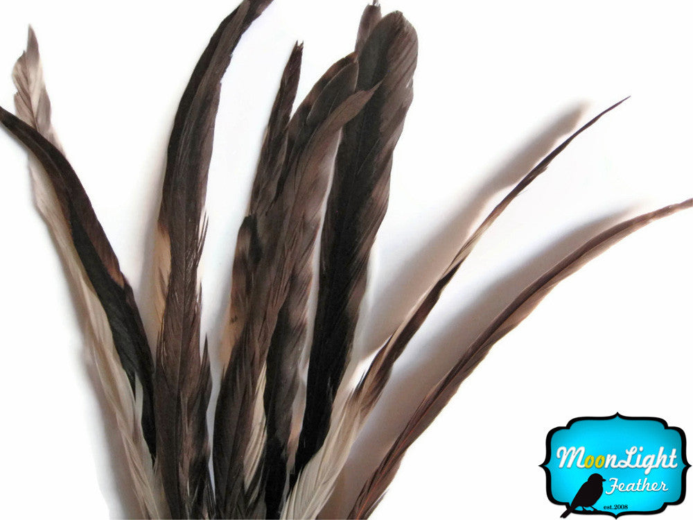 2.5  Inch Strip -  Natural Brown Chinchilla Mix Coque Tail Strung Feathers, 14-16"