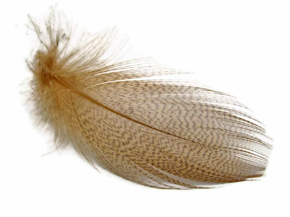 1 Dozen - Tan Mallard Duck Flank Plumage Feathers