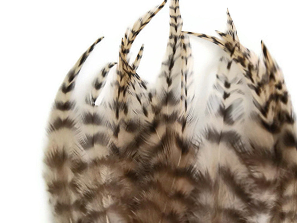 1 Dozen - Short Tan Grizzly Whiting Farm Rooster Saddle Hair Extension Feathers