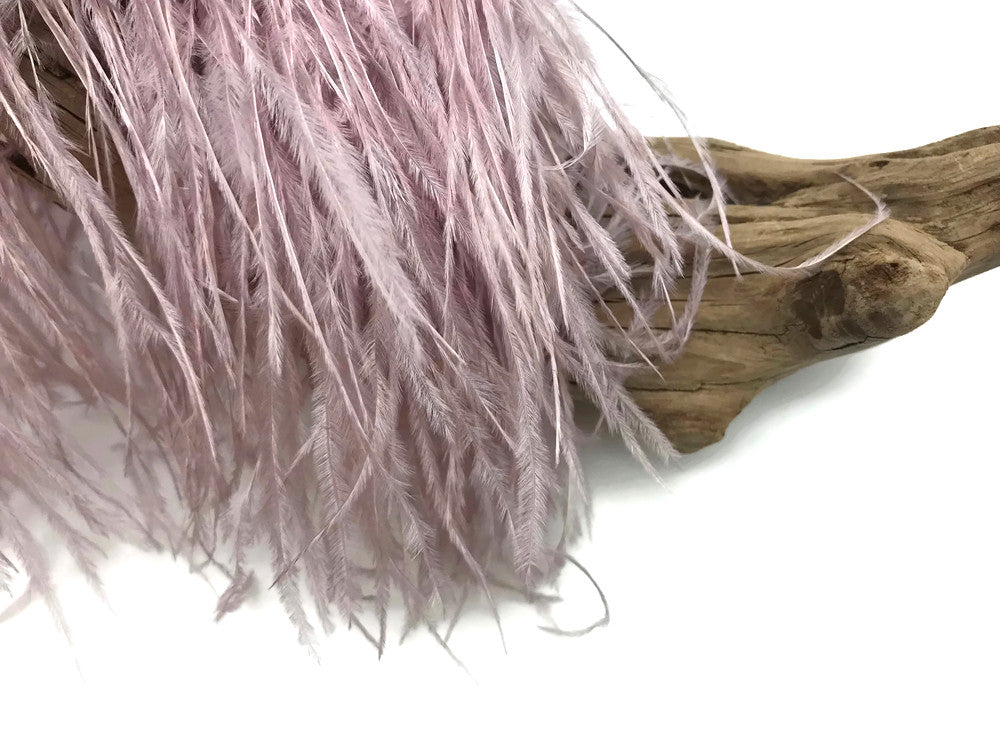 6 Inch Strip - Taupe Ostrich Fringe Trim Feathers