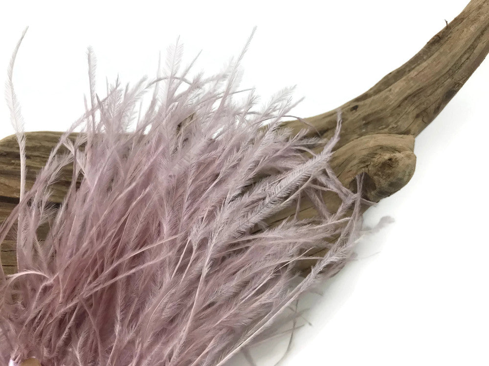 6 Inch Strip - Taupe Ostrich Fringe Trim Feathers