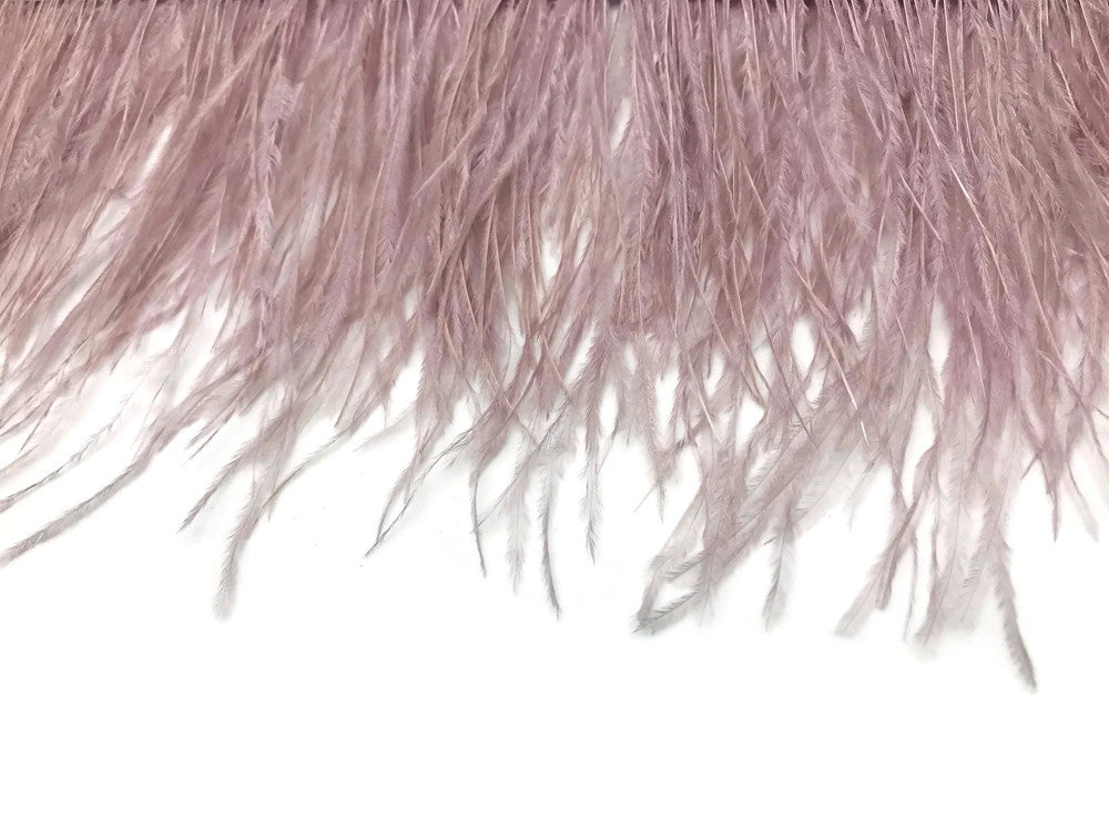 6 Inch Strip - Taupe Ostrich Fringe Trim Feathers